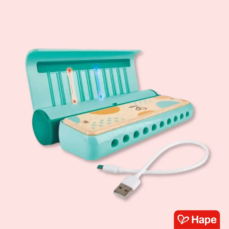 Gaita Infantil Educativa de Madeira com Luzes Guia, Músicas e Bateria Recarregável – Hape
