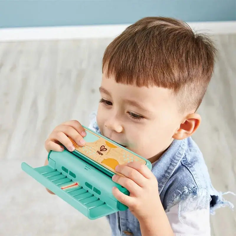Gaita Infantil Educativa de Madeira com Luzes Guia, Músicas e Bateria Recarregável – Hape